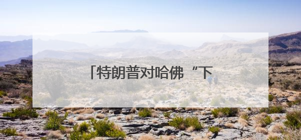 特朗普对哈佛“下狠手”，在美留学生未来何去何从？