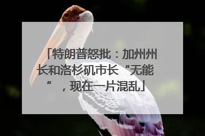 特朗普怒批：加州州长和洛杉矶市长“无能”，现在一片混乱