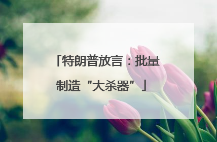 特朗普放言：批量制造“大杀器”