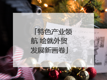 特色产业领航 绘就外贸发展新画卷