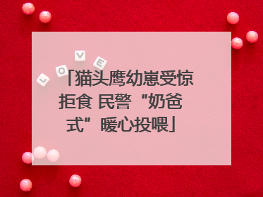 猫头鹰幼崽受惊拒食 民警“奶爸式”暖心投喂