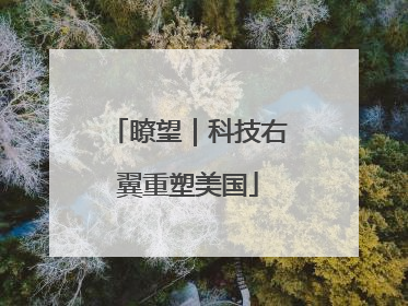 瞭望｜科技右翼重塑美国