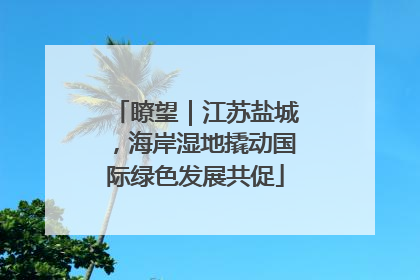 瞭望｜江苏盐城，海岸湿地撬动国际绿色发展共促