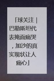球关注｜巴勒斯坦代表掩面痛哭，加沙的真实现状让人痛心