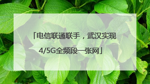 电信联通联手，武汉实现4/5G全频段一张网