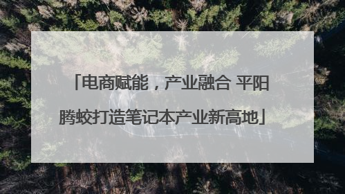 电商赋能，产业融合 平阳腾蛟打造笔记本产业新高地
