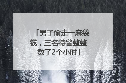 男子偷走一麻袋钱，三名特警整整数了2个小时