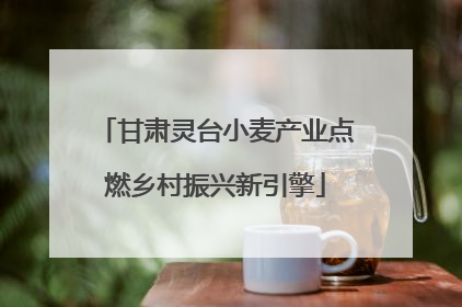 甘肃灵台小麦产业点燃乡村振兴新引擎