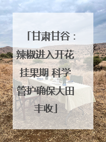 甘肃甘谷：辣椒进入开花挂果期 科学管护确保大田丰收