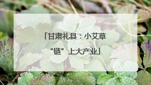 甘肃礼县：小艾草“链”上大产业