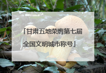 甘肃五地荣膺第七届全国文明城市称号