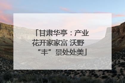 甘肃华亭：产业花开家家富 沃野“丰”景处处美
