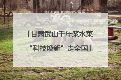 甘肃武山千年浆水菜“科技焕新”走全国