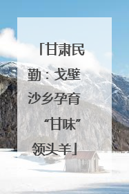 甘肃民勤：戈壁沙乡孕育“甘味”领头羊