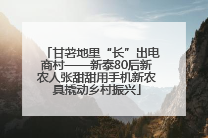 甘薯地里“长”出电商村——新泰80后新农人张甜甜用手机新农具撬动乡村振兴