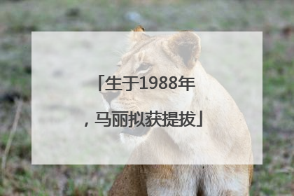 生于1988年，马丽拟获提拔