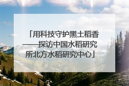 用科技守护黑土稻香——探访中国水稻研究所北方水稻研究中心