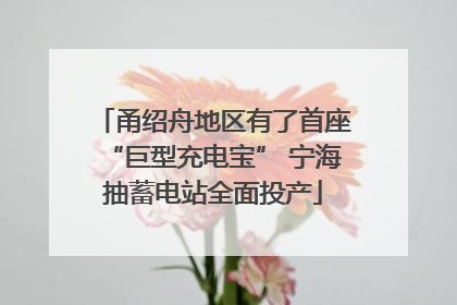 甬绍舟地区有了首座“巨型充电宝” 宁海抽蓄电站全面投产