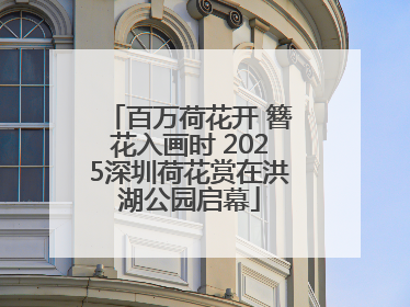 百万荷花开 簪花入画时 2025深圳荷花赏在洪湖公园启幕