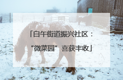 白午街道振兴社区：“微菜园”喜获丰收