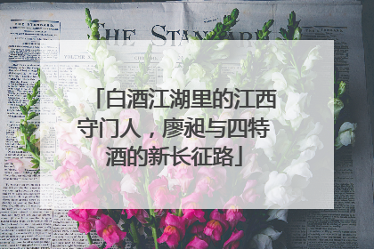 白酒江湖里的江西守门人，廖昶与四特酒的新长征路
