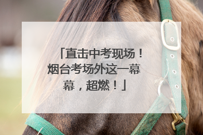 直击中考现场！烟台考场外这一幕幕，超燃！