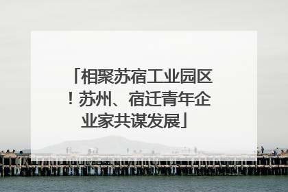 相聚苏宿工业园区！苏州、宿迁青年企业家共谋发展