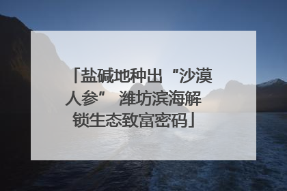 盐碱地种出“沙漠人参” 潍坊滨海解锁生态致富密码