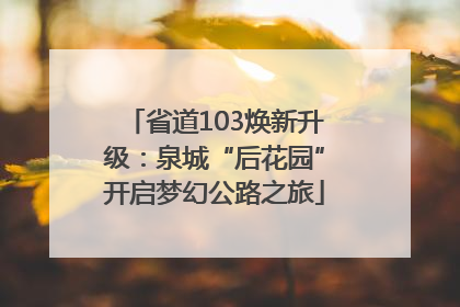省道103焕新升级：泉城“后花园”开启梦幻公路之旅