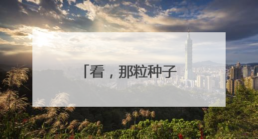 看，那粒种子正在向阳成长