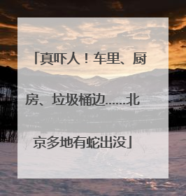 真吓人！车里、厨房、垃圾桶边……北京多地有蛇出没