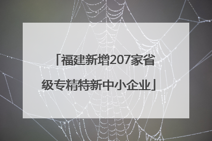 福建新增207家省级专精特新中小企业