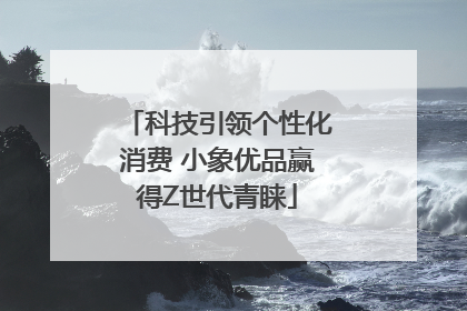科技引领个性化消费 小象优品赢得Z世代青睐
