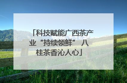 科技赋能广西茶产业“持续领鲜” 八桂茶香沁人心