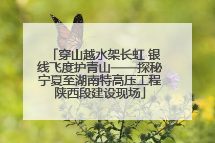 穿山越水架长虹 银线飞度护青山——探秘宁夏至湖南特高压工程陕西段建设现场