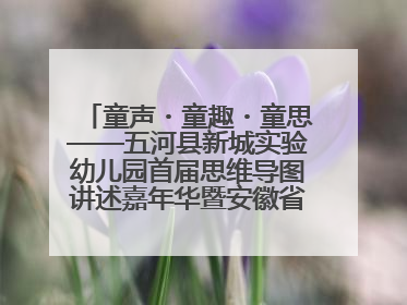 童声・童趣・童思——五河县新城实验幼儿园首届思维导图讲述嘉年华暨安徽省学前教育教研基地园项目阶段性成果展示活动