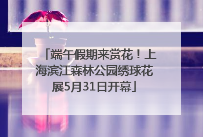 端午假期来赏花！上海滨江森林公园绣球花展5月31日开幕