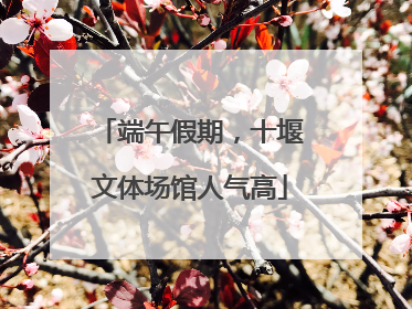 端午假期，十堰文体场馆人气高