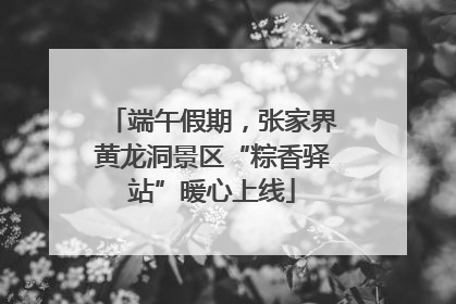 端午假期，张家界黄龙洞景区“粽香驿站”暖心上线