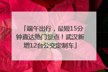 端午出行，最短15分钟直达热门景点！武汉新增12台公交定制车