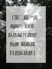 第二届“贡嘎杯”13支队伍展开激烈角逐 揭幕战甘孜队获胜