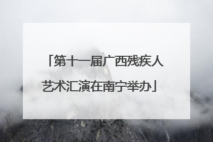第十一届广西残疾人艺术汇演在南宁举办