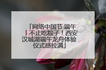 网络中国节·端午丨不止吃粽子！西安汉城湖端午龙舟体验仪式感拉满
