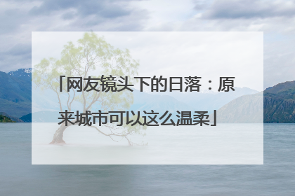 网友镜头下的日落：原来城市可以这么温柔