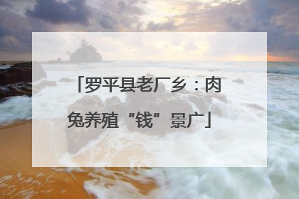 罗平县老厂乡：肉兔养殖“钱”景广