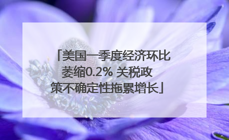 美国一季度经济环比萎缩0.2% 关税政策不确定性拖累增长
