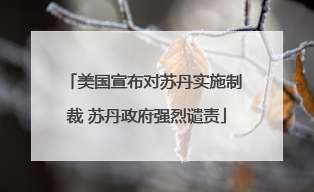 美国宣布对苏丹实施制裁 苏丹政府强烈谴责