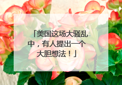 美国这场大骚乱中，有人提出一个大胆想法！