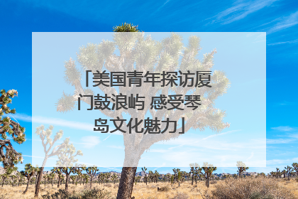 美国青年探访厦门鼓浪屿 感受琴岛文化魅力