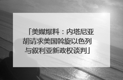 美媒爆料：内塔尼亚胡请求美国斡旋以色列与叙利亚新政权谈判